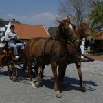 Svatba
